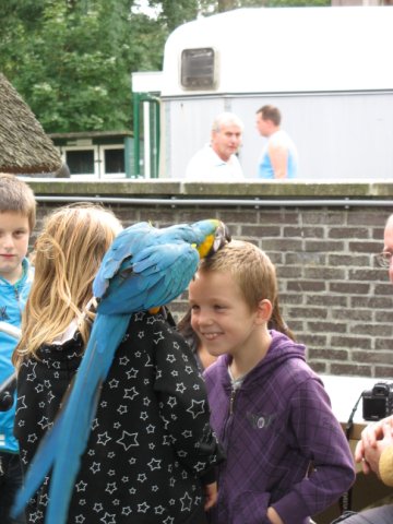 2011-09-11 Kralingsebos